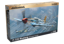 P-51B Mustang Birdcage canopy 1/48 
