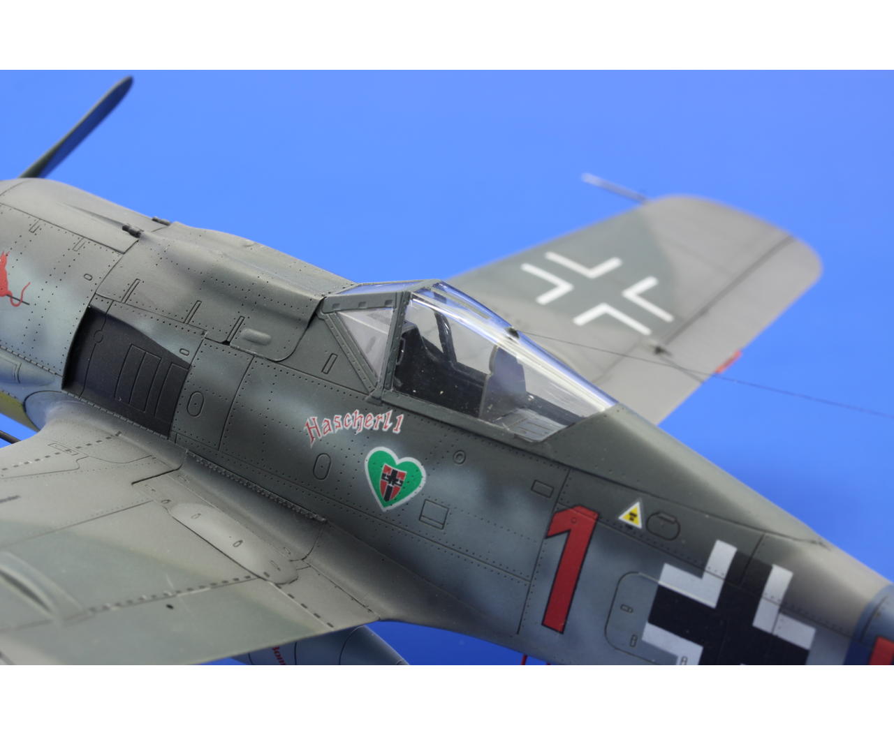 Fw 190a Jg 54 Grünherz Dual Combo 1 48 Eduard Store